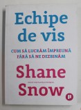 ECHIPE DE VIS - CUM SA LUCRAM IMPREUNA FARA SA NE DEZBINAM de SHANE SNOW , 2019