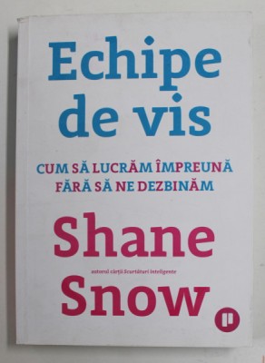 ECHIPE DE VIS - CUM SA LUCRAM IMPREUNA FARA SA NE DEZBINAM de SHANE SNOW , 2019 foto