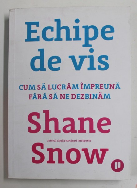 ECHIPE DE VIS - CUM SA LUCRAM IMPREUNA FARA SA NE DEZBINAM de SHANE SNOW , 2019