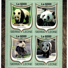 SIERRA LEONE 2016 - Ursi Panda / set complet MNH-colita+bloc