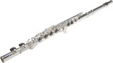 Cumpara ieftin Flaut Karl Glaser Studio 111 C SILVER