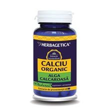 Calciu Organic Herbagetica 30cps Cod: 22998 foto