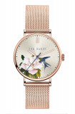 Ted Baker - Ceas BKPPFF901