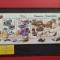 1994 - CIUPERCI COMESTIBILE ( A )