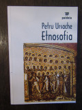 ETNOSOFIA - PETRU URSACHE