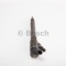 Injector IVECO DAILY IV autobasculanta (2006 - 2011) BOSCH 0 445 110 248