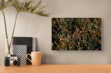 Tablou Canvas cu Frunze și Plante, Natură &icirc;n Culorile Toamnei, , Verde, 39 x 26 cm, CMCLASS