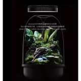 Terrarium sticla MQ-175