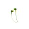 Casca in ureche 3.5 mm verde cu galben Audio Wild Maxell