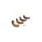 Set saboti frana FORD TRANSIT bus E BREMBO S24522