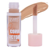 Concealer Corector Ushas #11