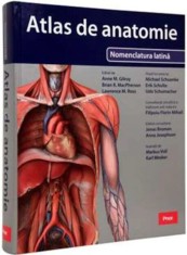Atlas de anatomie. Nomenclatura latina - Prior &amp; Books
