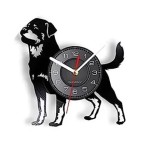 BORDER COLLIE- ceas de perete