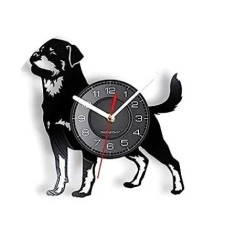 BORDER COLLIE- ceas de perete