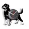 BORDER COLLIE- ceas de perete