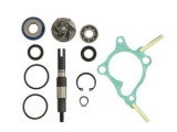 Kit reparație Pompa de apă compatibil: HONDA FES 250 1998-1998, Rms