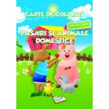 Carte de colorat cu abtibilduri - Pasari si animale domestice - Editura Ars Libri
