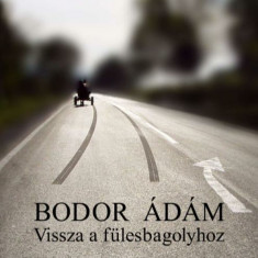 Vissza a fülesbagolyhoz - Bodor Ádám