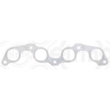 Elring Garnitura, galerie evacuare