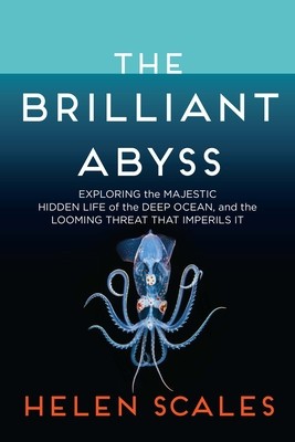 The Brilliant Abyss: Exploring the Majestic Hidden Life of the Deep Ocean, and the Looming Threat That Imperils It foto
