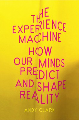 The Experience Machine: How Our Minds Predict and Shape Reality foto