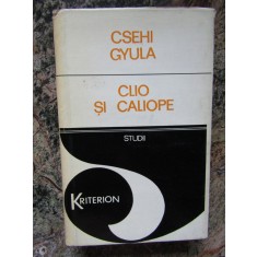 Clio si Caliope sau Despre limitele istoriei si literaturii - Csehi Gyula