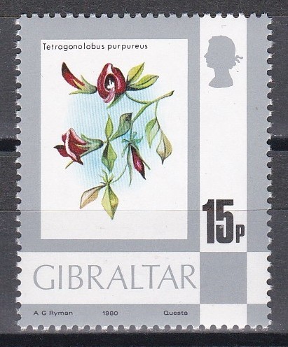 Gibraltar 1980 - Floră, MNH