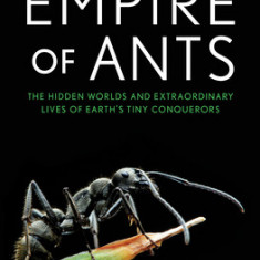 Superpowers on Six Legs: The Hidden Lives of Ants