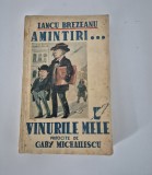 Carte veche Iancu Brezanu Amintiri / Vinurile mele