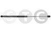 STC T446287 Amortizor portbagaj