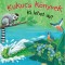 Kukucs k&ouml;nyvek - Ki lehet az?
