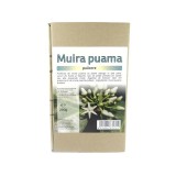 Pulbere Muira Puama 200 grame Deco Italia