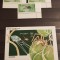 SOMALIA TARANTULE -SPIDERS COLITA SI SET NESTAMPILAT MNH