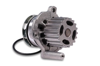 HEPU P551 Pompă de apă, răcire motor foto