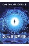 Calea de disparitie - Costin Grigoras