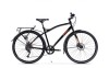 HOINAR 28&amp;#039;&amp;#039; NEGRU ALBASTRU, Pegas