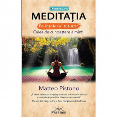 Meditatia pe intelesul tuturor - Matteo Pistono - Ed. Prestige