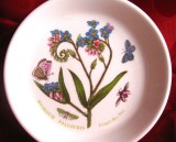 FARFURIE PORTELAN ENGLEZESC PORTMERION MODEL BOTANICA CU FLORI DE NU MA UITA SI FLUTURI 11.5 CM