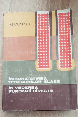 &amp;Icirc;mbunătățirea terenurilor slabe &amp;icirc;n vederea fundării directe - M. Păunescu foto