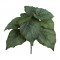 Planta artificiala Begonia Mini premium verde inchis H25