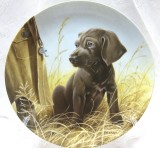FARFURIE DECORATIVA PORTELAN KNOWLES AMERICA BRADEX EDITIE LIMITATA CAINE VANATOARE WEIMARANER 21.5 CM