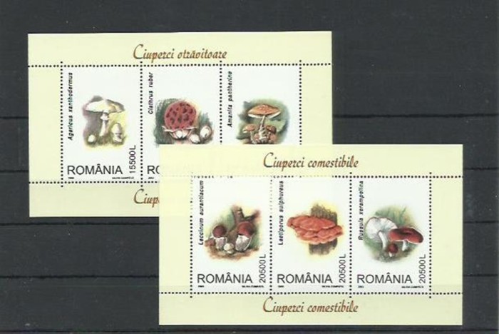 Romania MNH 2003 - Ciuperci idem triptic (blocuri) - LP 1616 a