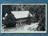 477 - Valea Vinului jud. Bistrita Nasaud / Radnaborberek / vedere 1933, Necirculata, Fotografie