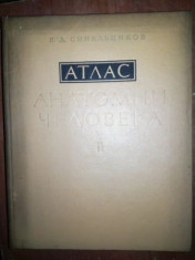 ATLAS DE ANATOMIE UMANA vol 2- SINELNIKOV in limba rusa foto