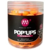 Pop Up MAINLINE Hi-Visual Baits, Fluo Orange, Scopex &amp; Blackcurrant, 15mm, 250ml