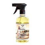 Cumpara ieftin Odorizant Camera si Textile Casual Chic 500ml