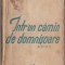 Anisoara Odeanu - Intr-un camin de domnisoare