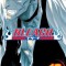 Bleach, Volume 13