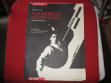 METODA DE CHITARA - Estilo Flamenco