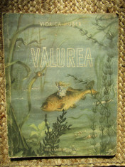 Valurea ( ilustratii Ioana Oltes ) - Viorica Huber, 1953 foto